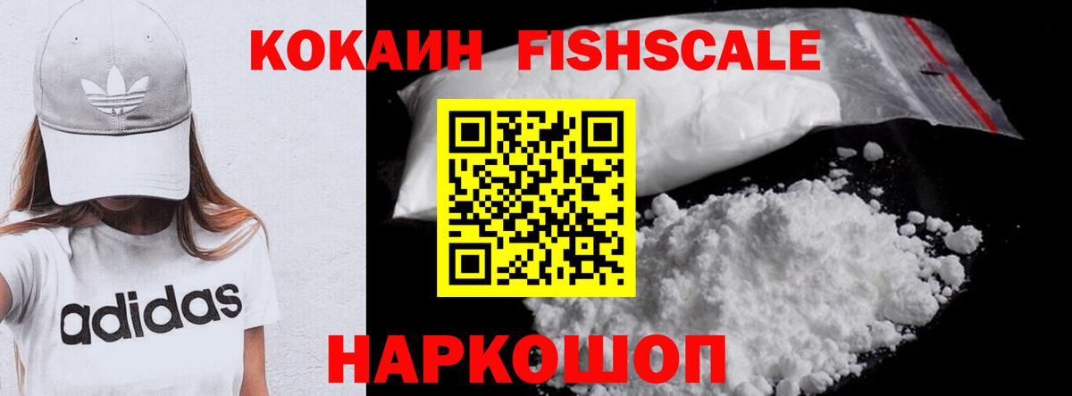 Cocaine Fish Scale  Вход с VPN  COCAIN  Cocaine VHQ  Белорецк 